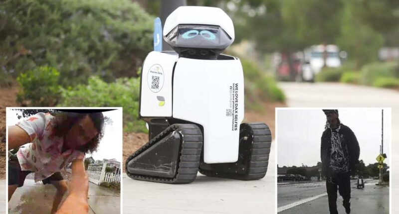 City robots doused in beer and violently attacked as police hunt suspects