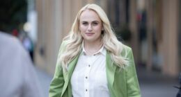 Claims of lies and fears in final arguments of Rebel Wilson defamation case