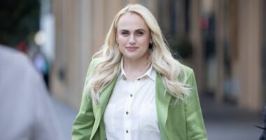 Claims of lies and fears in final arguments of Rebel Wilson defamation case