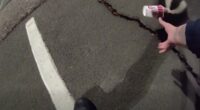 Colorado police help unlucky skunk stuck in a cup