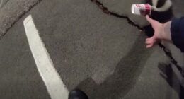 Colorado police help unlucky skunk stuck in a cup
