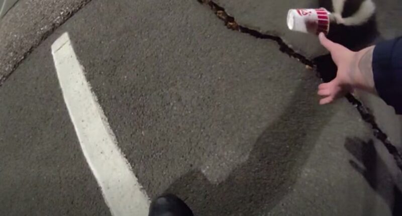Colorado police help unlucky skunk stuck in a cup