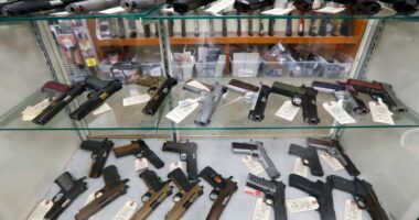 Connecticut pro-Second Amendment group sounds alarm on Glock-style ban, fear Democrats will go even further