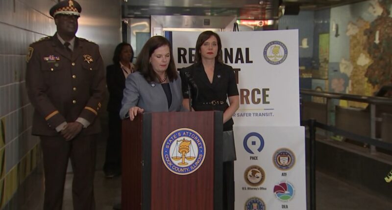Cook County State's Attorney Eileen O'Neill Burke, CTA acting president, sheriff's office announce Regional Transit Task Force