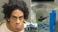 Cops bust creep carrying pet fish and exposing his 'chimichanga' outside Florida Taco Bell