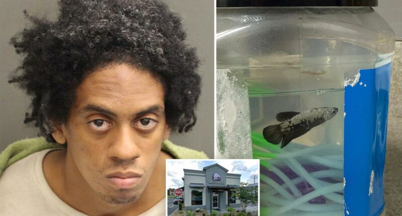 Cops bust creep carrying pet fish and exposing his 'chimichanga' outside Florida Taco Bell
