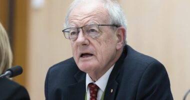Alex Ellinghausen
