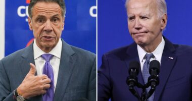 Cuomo rips fellow Dems for putting up 'incapable' Joe Biden in 2024