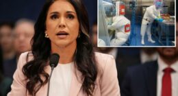 DNI Tulsi Gabbard probes US funding to more than 120 biolabs abroad