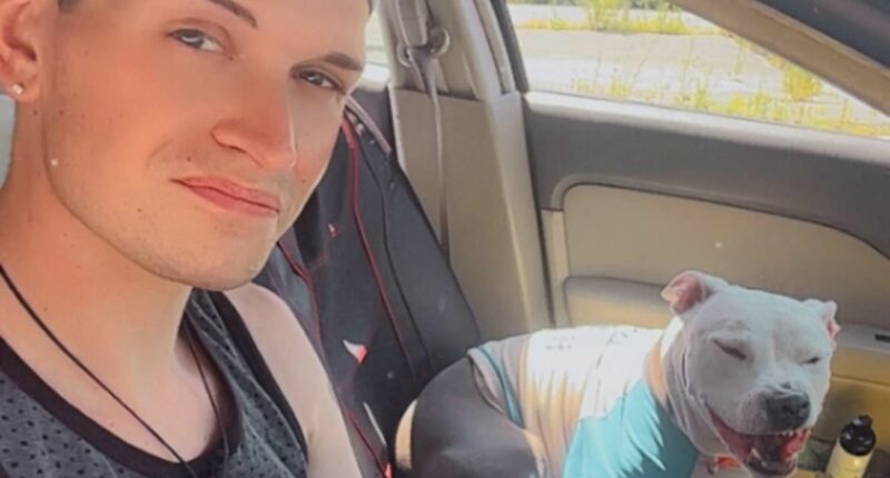 Dad hit with threats after shooting and killing neighbor's pit bull