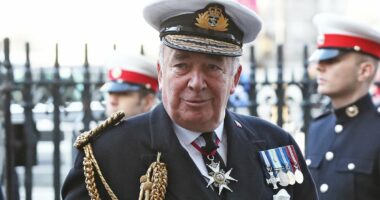 Defence chief backs calls to build new memorial honouring the Navy's slave trade busters: Lord Alan West throws his weight behind effort spearheaded by Penny Mordaunt
