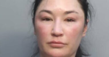 Delta passenger is ARRESTED because she wouldn't hang up her phone