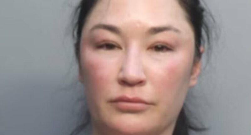Delta passenger is ARRESTED because she wouldn't hang up her phone