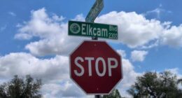 Deltona’s Elkcam Boulevard elevation project moves forward after years of flooding