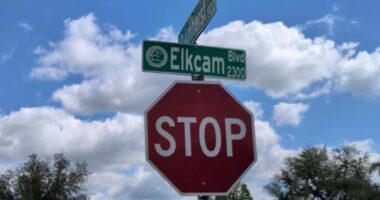 Deltona’s Elkcam Boulevard elevation project moves forward after years of flooding