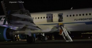 Denver airport incident: NTSB gathering details about evacuation after Frontier plane hits person at Denver International Airport