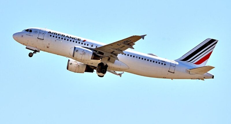 Detroit-bound plane diverted to Canada after passenger from Ebola-hit region boarded ‘in error’, officials say
