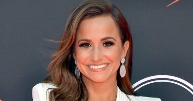 Dianna Russini 'did NOT rescue elderly man and dog from car crash'
