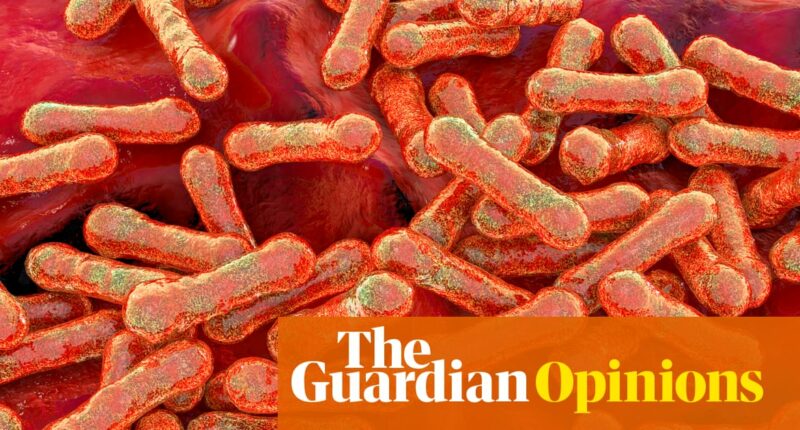 Diphtheria is a disease of poverty that has no place in modern Australia. When we talk about Closing the Gap, this is the gap | Donna Ah Chee