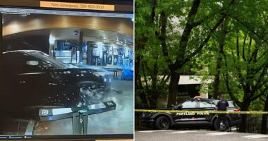 'Disgruntled employee' smashed car of explosives into athletics club