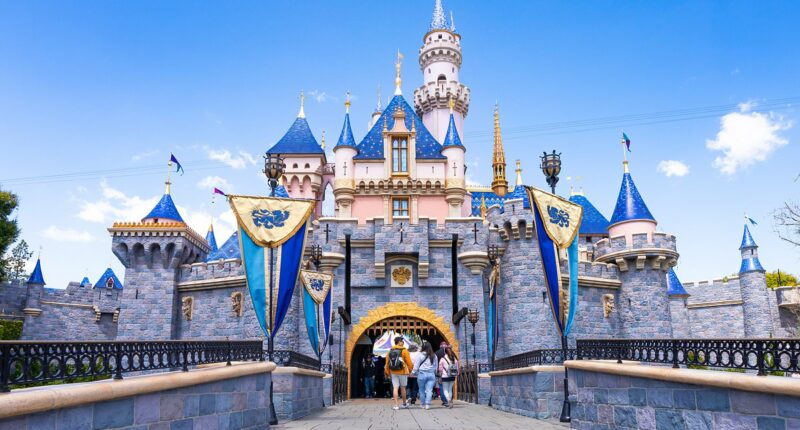 Disney cracks down on park tradition as prices soar up to $75K
