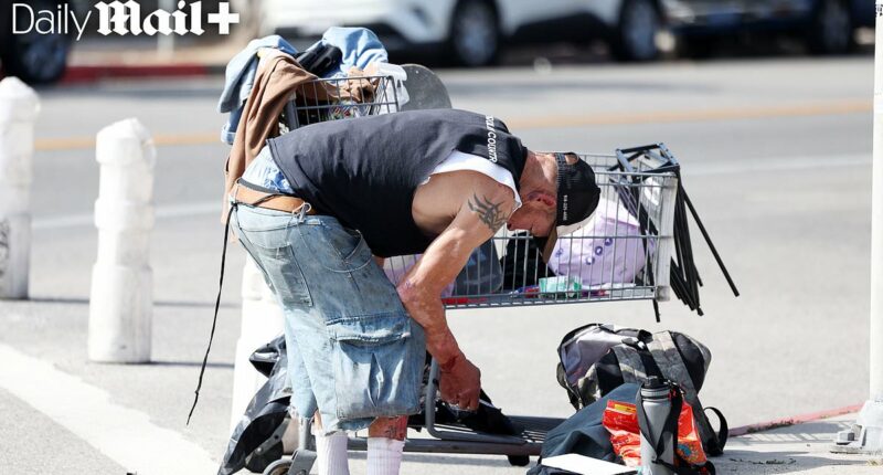 Disturbing trove of images LA mayor Karen Bass doesn't want you to see