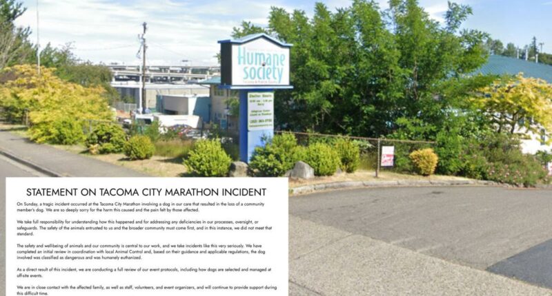 Dog up for adoption kills beloved pet at Humane Society event