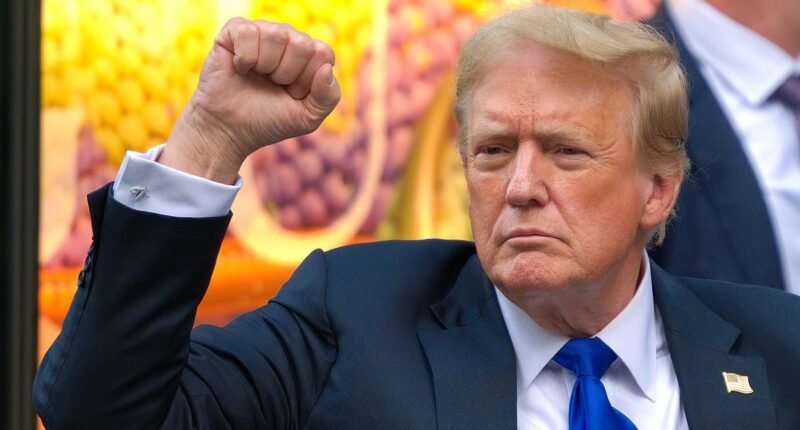 Donald Trump gets a SIX-POINT bump in approval after being found guilty on 34 counts according to snap Daily Mail poll: 'I think it was a waste of taxpayer money'