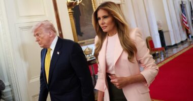 Donald Trump woos military mothers with shiny grin next to Melania