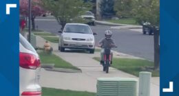 Driver arrested after allegedly hopping curb to chase child on a dirt bike in Washington