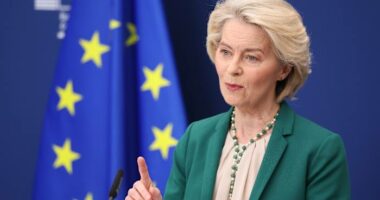 EU-Mercosur trade deal takes provisional effect, boosting hopes and concerns for millions