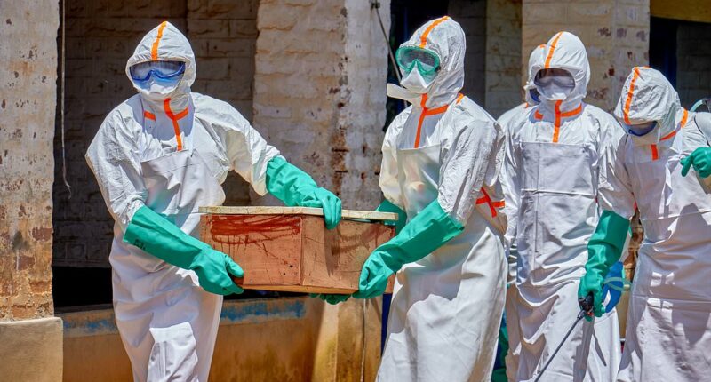 Ebola screenings begin at 3 major airports as deadly outbreak spreads