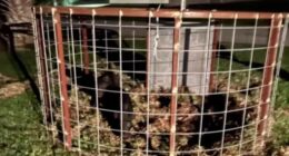 Edgewater talks ‘Toilet to Tap’ and feral hogs