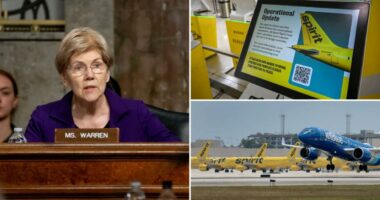 Elizabeth Warren blasted for cheering blocking of merger that might have saved Spirit Airlines