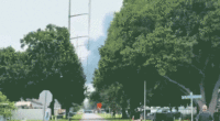 Smoke between trees