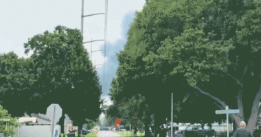 Smoke between trees