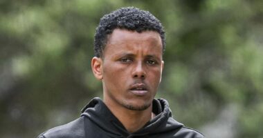 Eritrean asylum seeker faces jail after sexually assaulting girl, 15