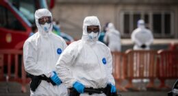 Evacuation of rat virus cruise FINALLY under way despite protests