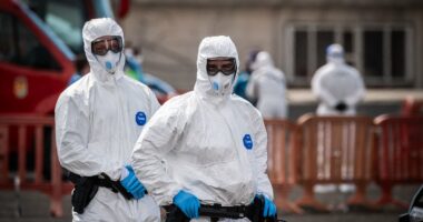 Evacuation of rat virus cruise FINALLY under way despite protests
