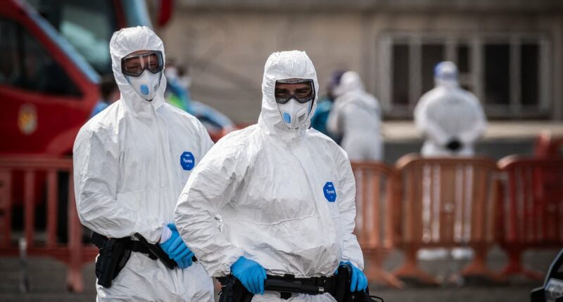 Evacuation of rat virus cruise FINALLY under way despite protests