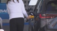 Every driver in Western Australia is set to receive a $100 fuel support payment.