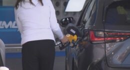 Every driver in Western Australia is set to receive a $100 fuel support payment.
