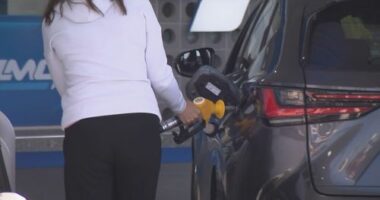 Every driver in Western Australia is set to receive a $100 fuel support payment.