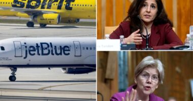 Ex-Biden official all but admits admin killed Spirit airlines by rejecting JetBlue merger
