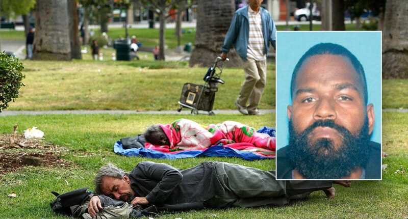 Ex-employee of taxpayer-funded nonprofit caught selling fentanyl near LA park: docs