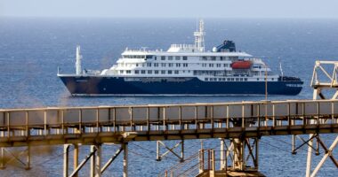 Extremely rare human-to-human transmission is suspected on cruise ship where three have died from rat-borne virus