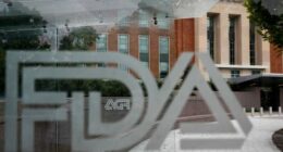 FDA announces its first OK of fruit-flavored e-cigarettes for adults in major shift under Trump