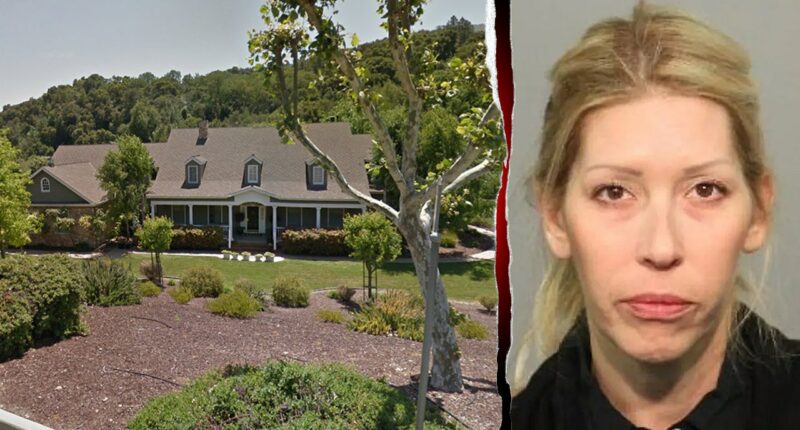 Families confront California 'party mom' in court, calling her a 'monster' who groomed their children