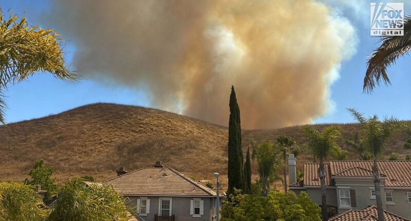 Fast-moving Sandy Fire burns hundreds of acres in Southern California, forcing evacuations in Simi Valley area