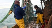 Fat fishermen catch a break after ban stopping them from going to sea if they were too heavy is lifted by the Transport Secretary